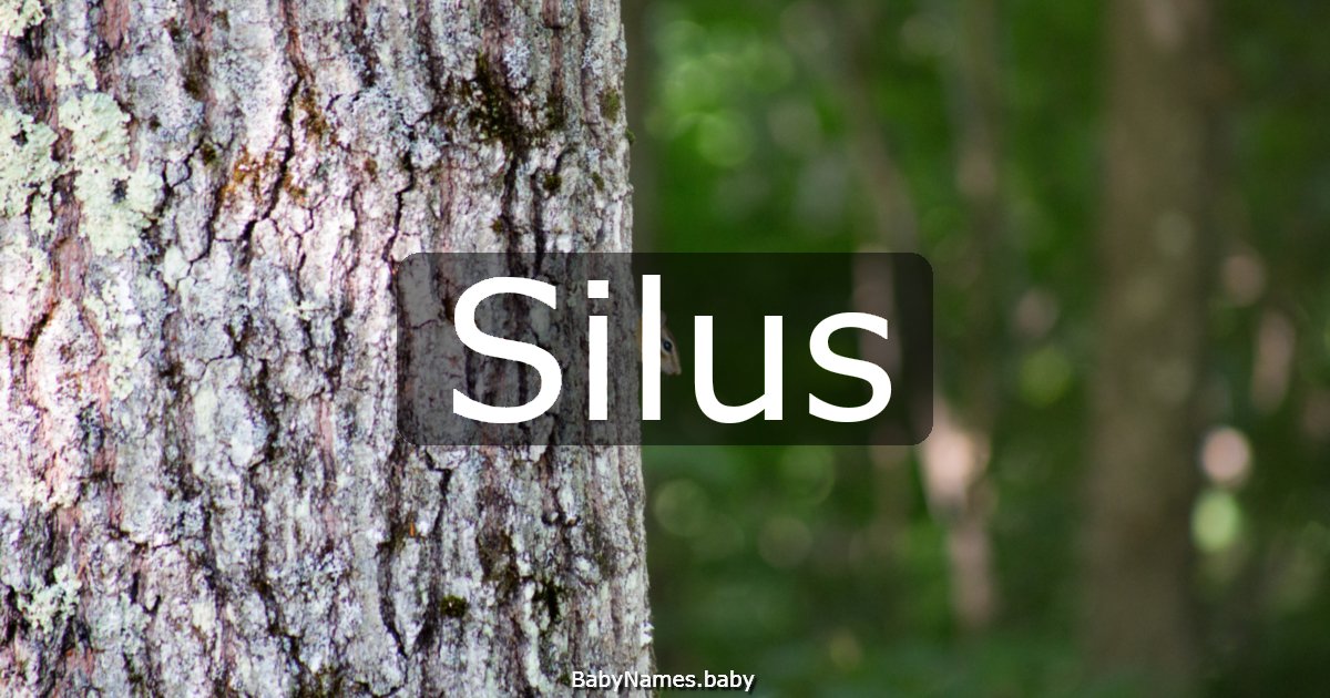 Silus