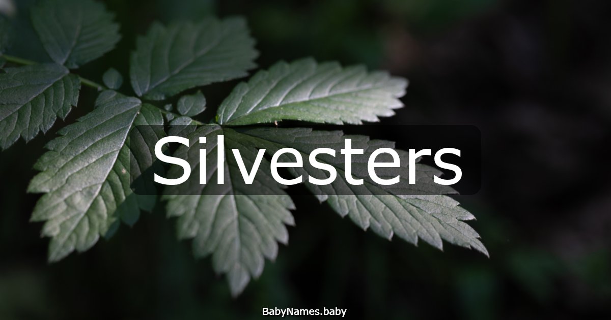Silvesters