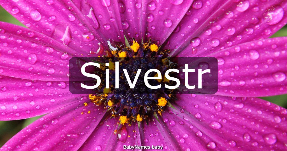 Silvestr