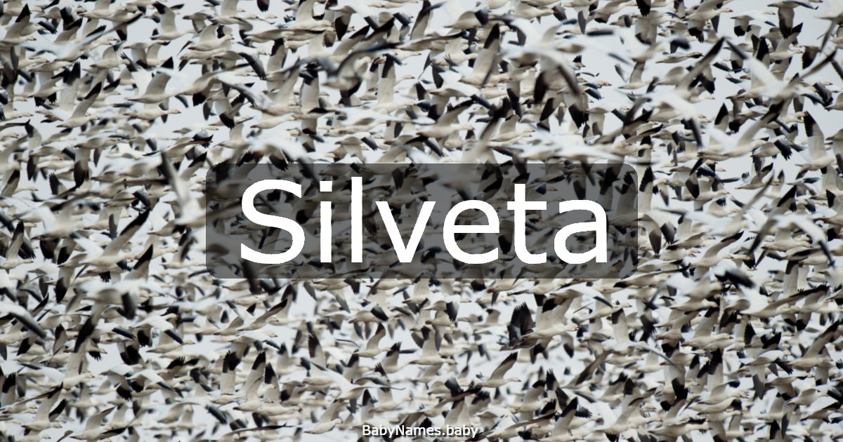 Silveta