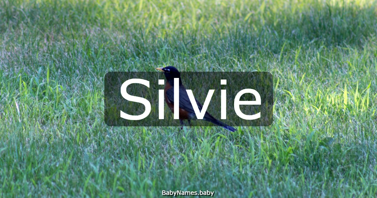 Silvie