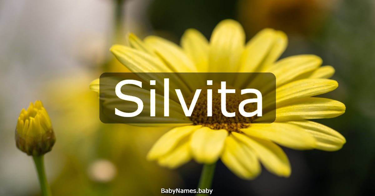 Silvita