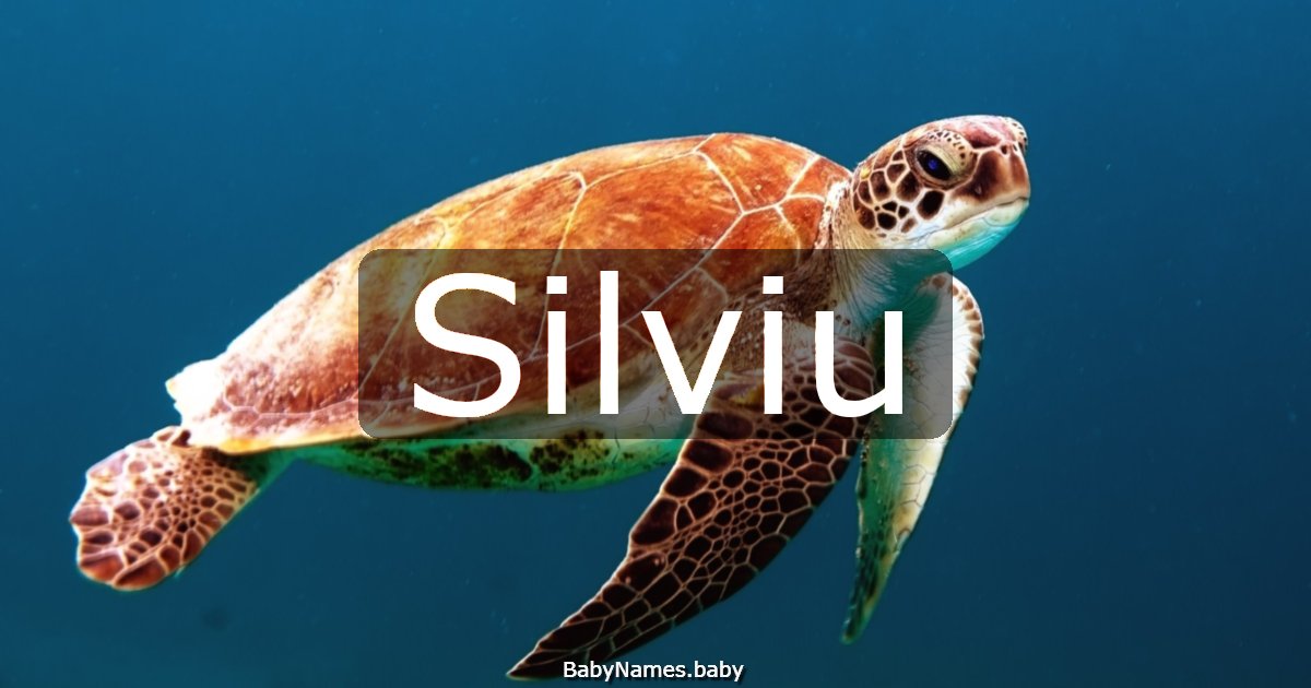 Silviu