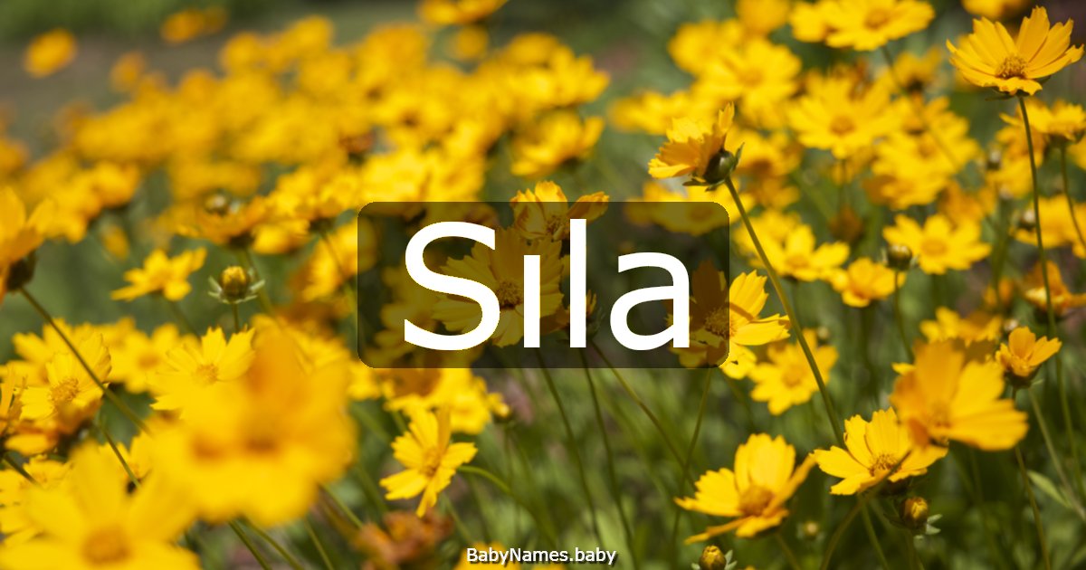 Sıla