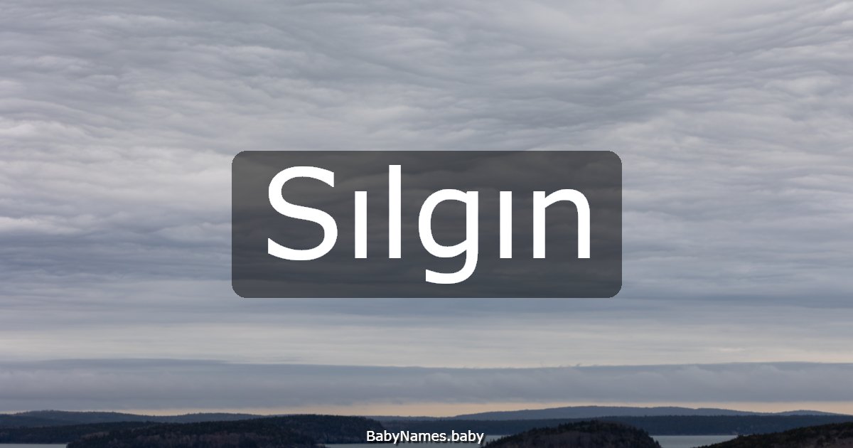 Sılgın