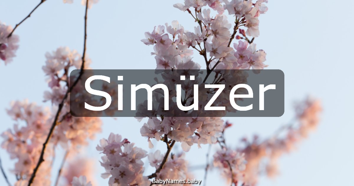 Simüzer