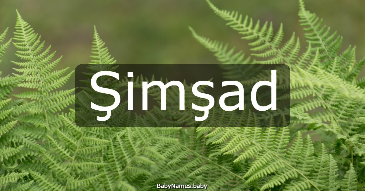 Şimşad