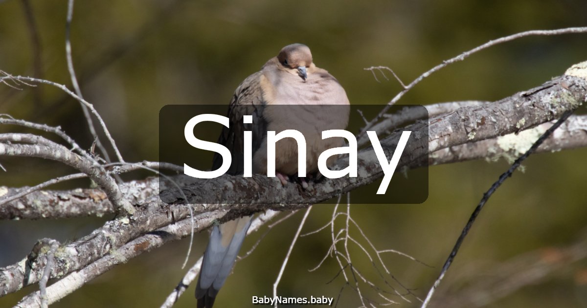 Sinay