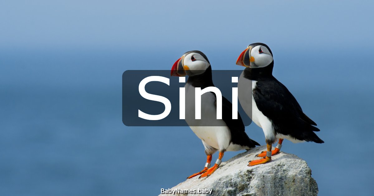 Sini