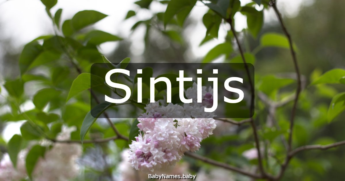 Sintijs