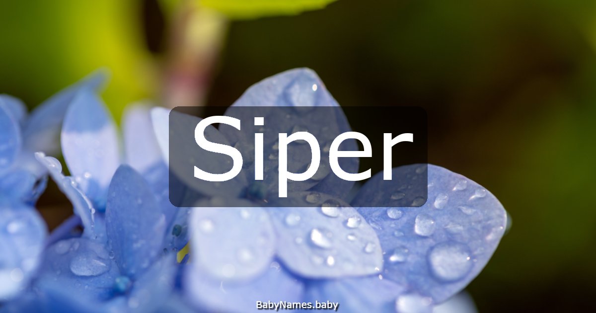 Siper