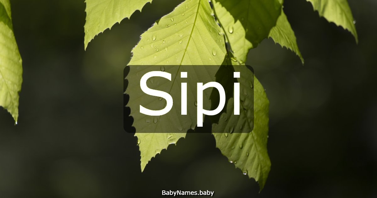 Sipi