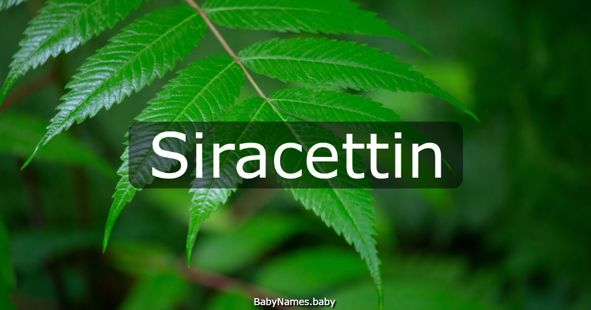 Siracettin