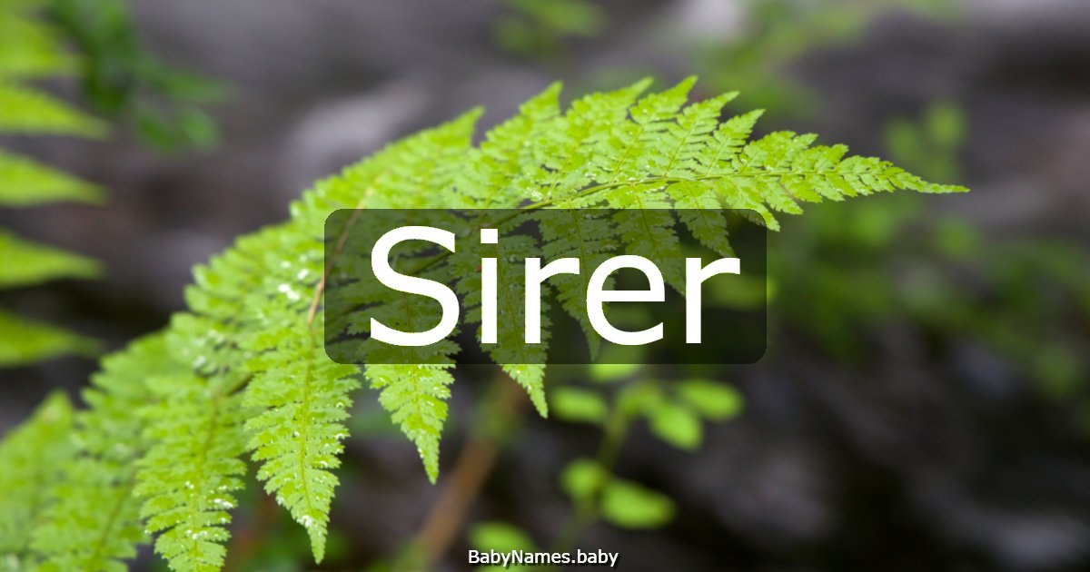 Sirer