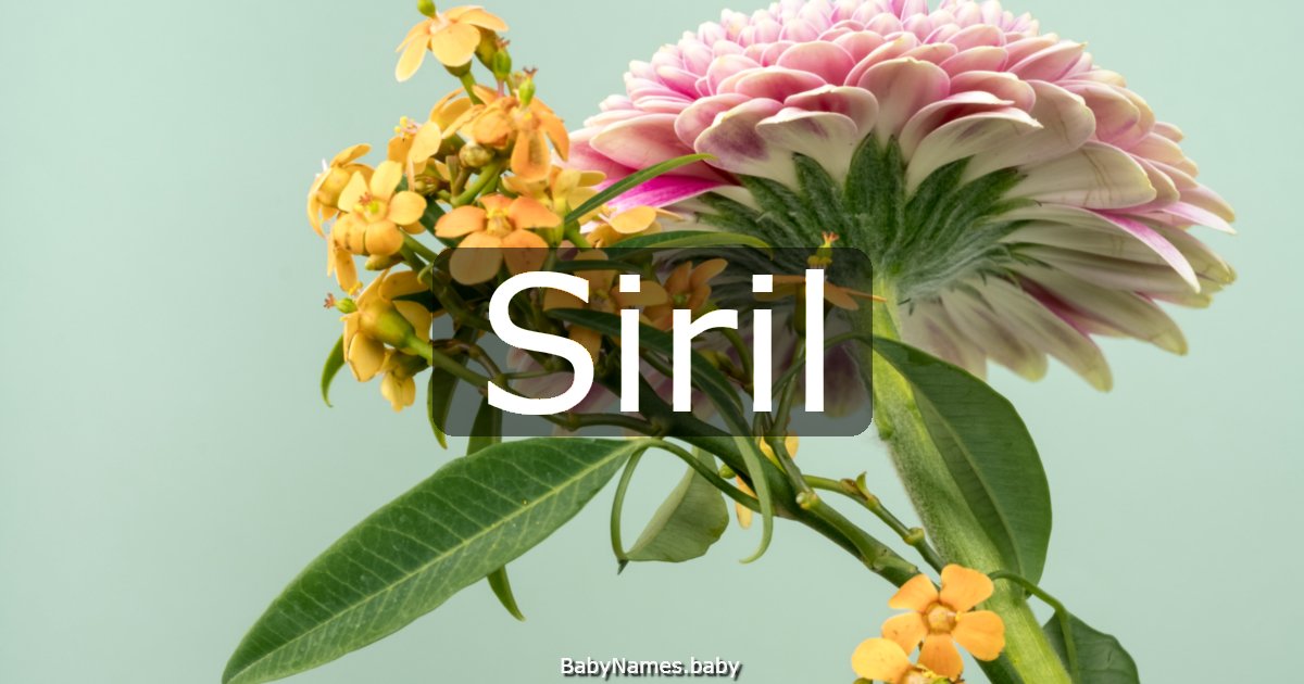 Siril