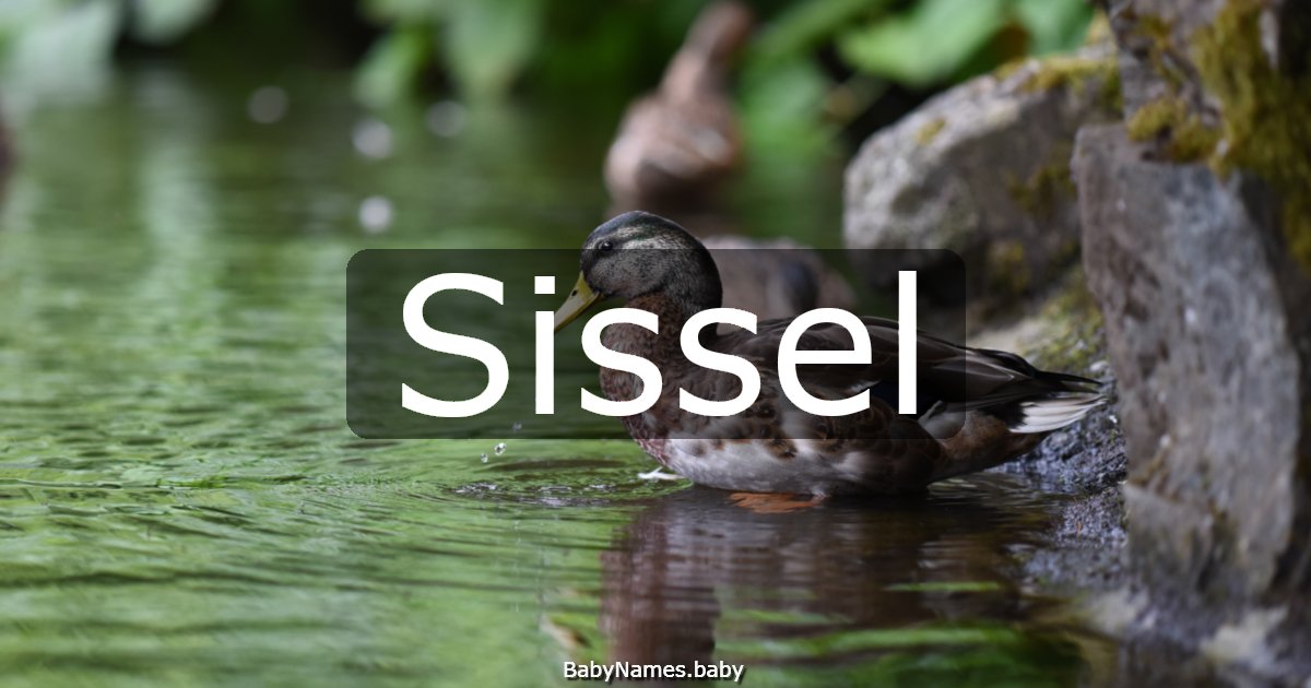 Sissel