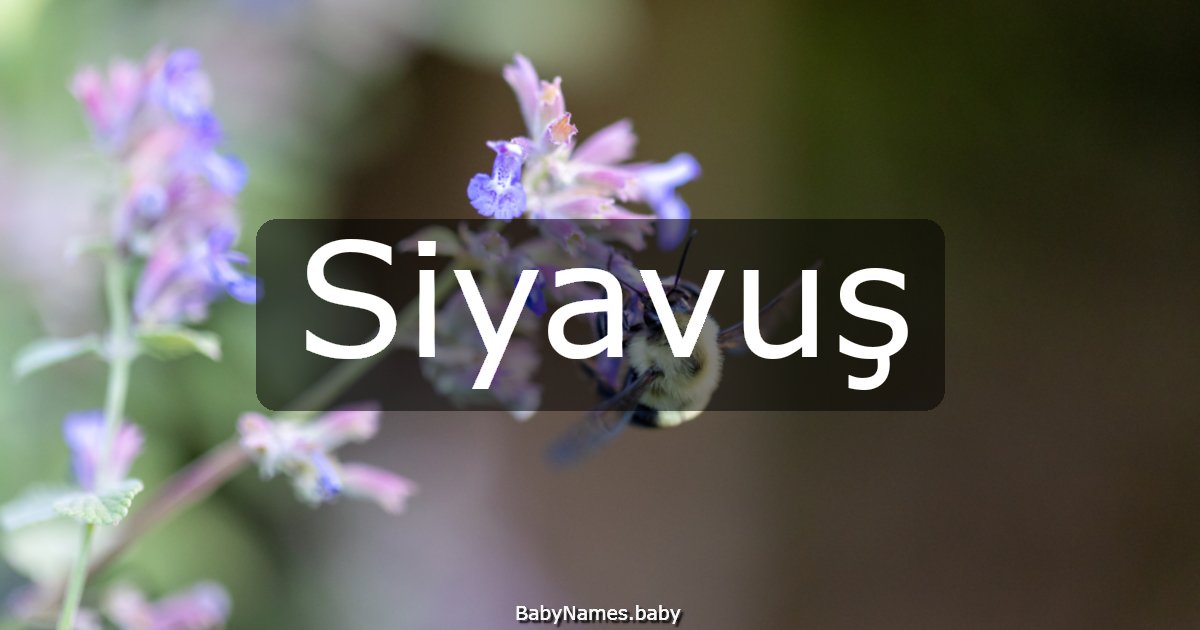 Siyavuş