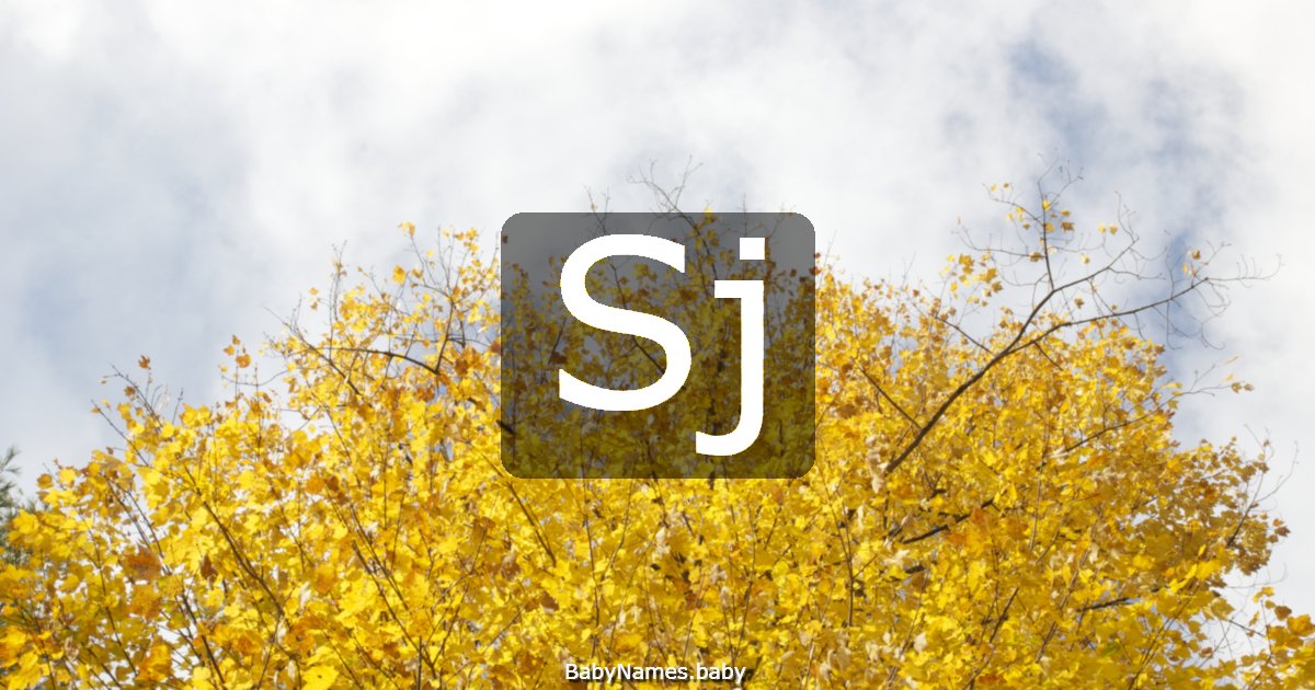 Sj
