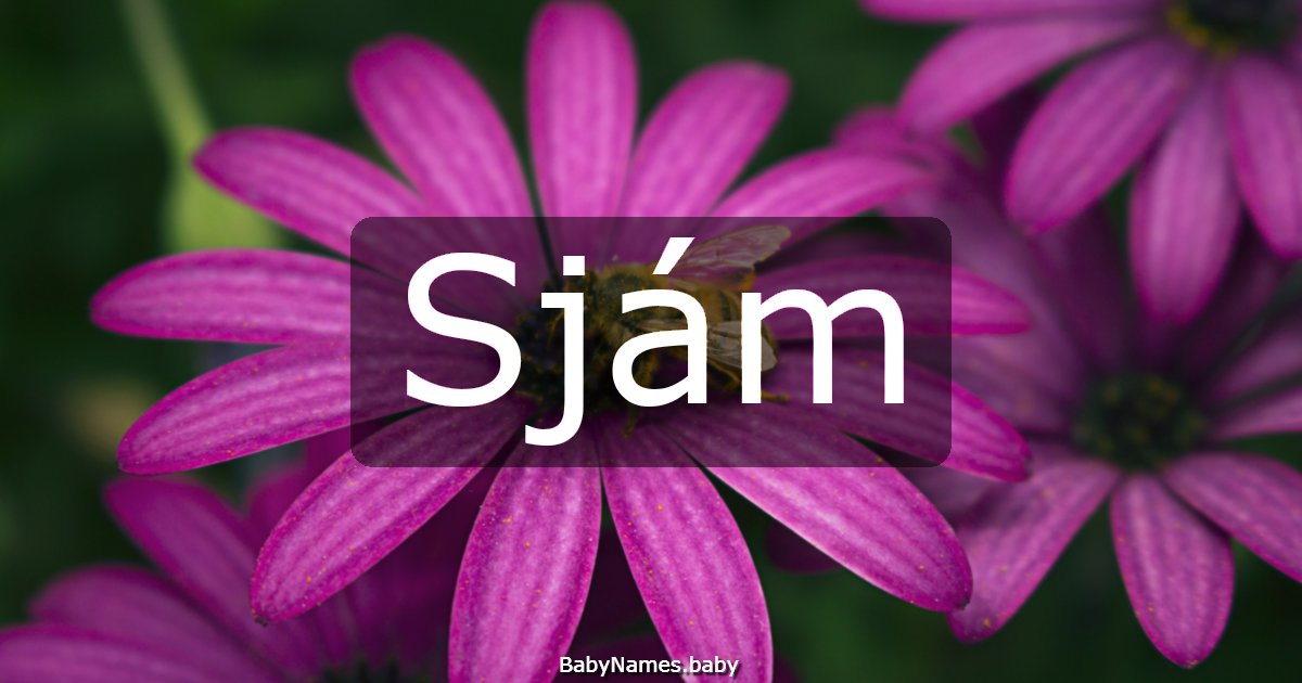 Sjám