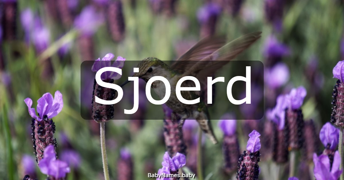 Sjoerd