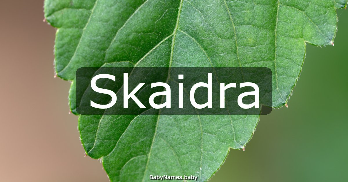 Skaidra