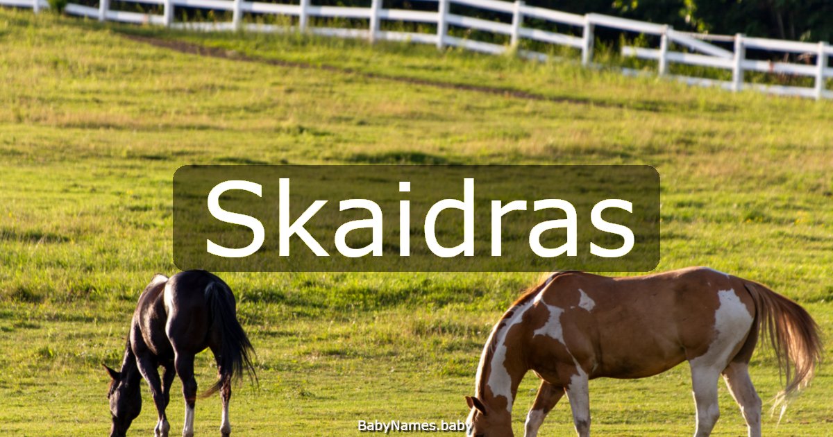 Skaidras
