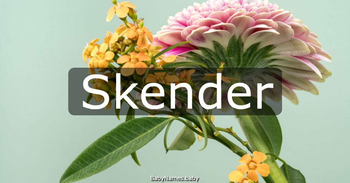 Skender