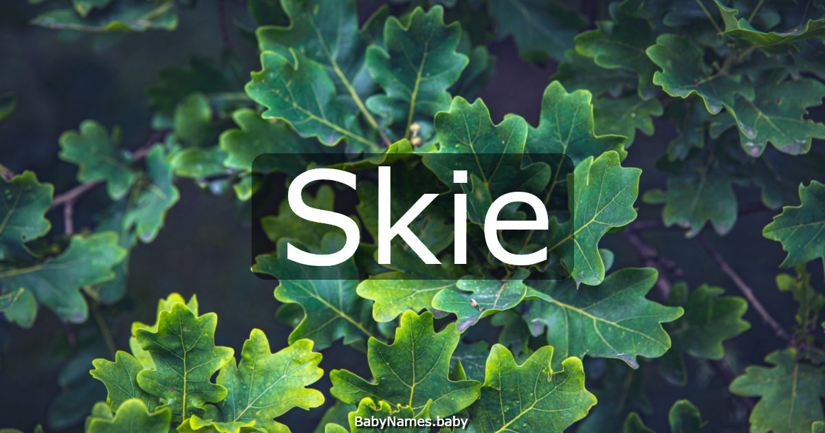 Skie