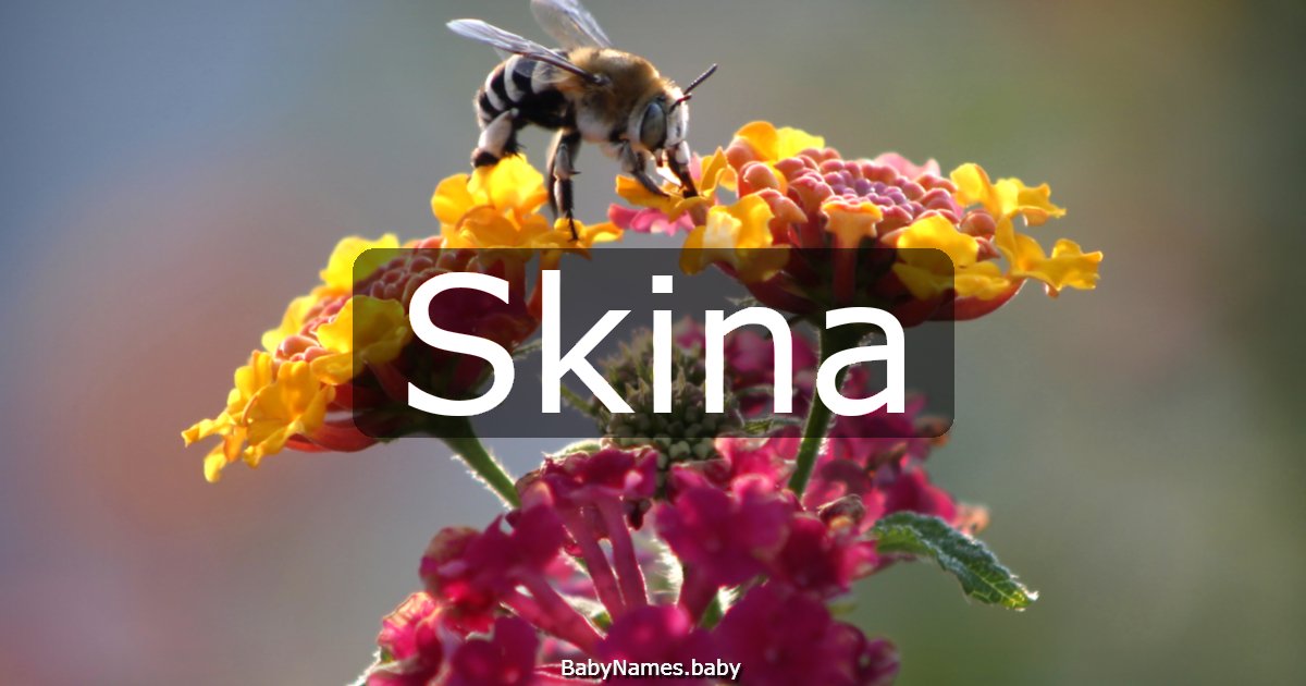Skina