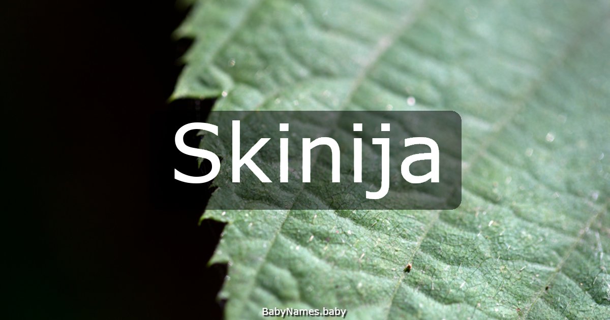 Skinija