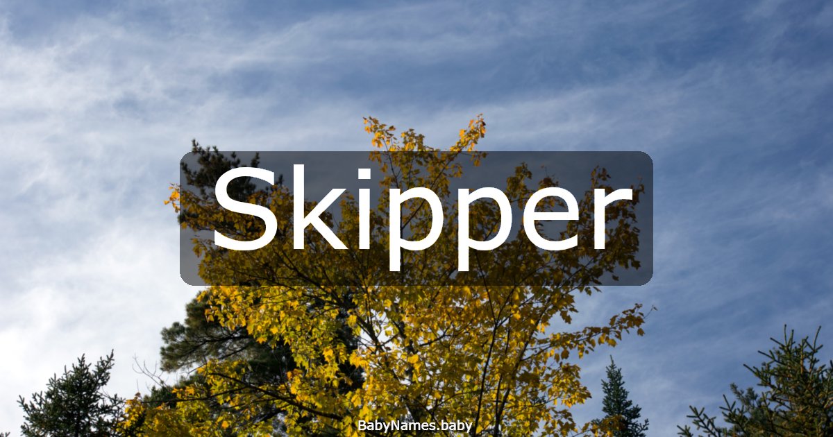 Skipper