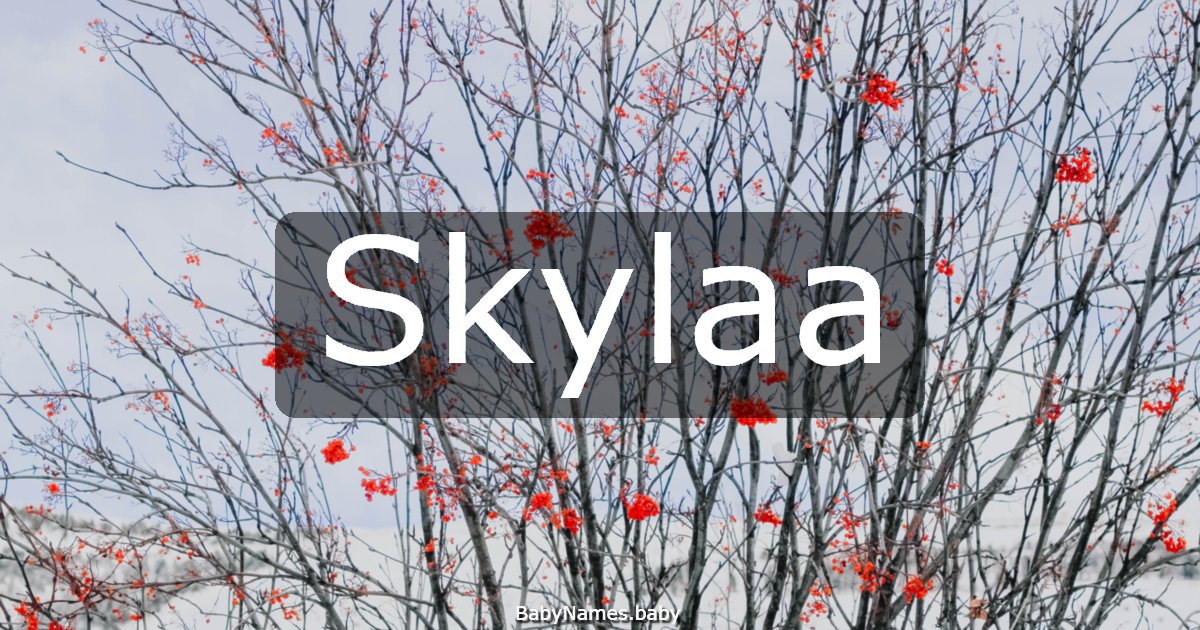 Skylaa