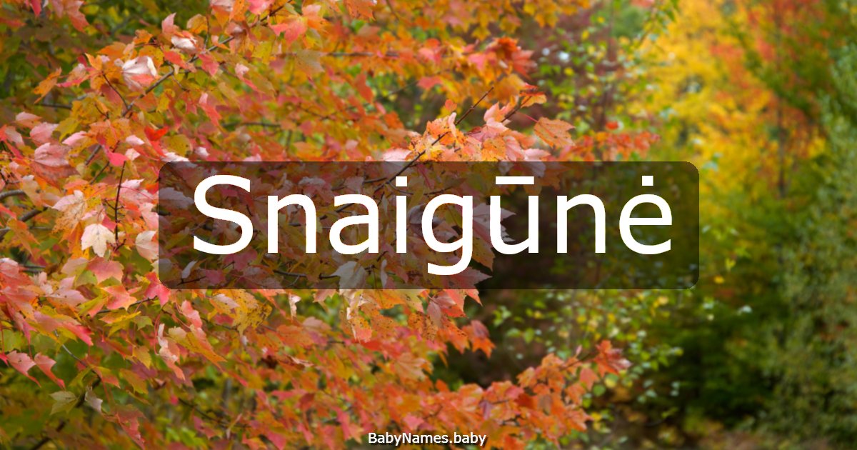Snaigūnė