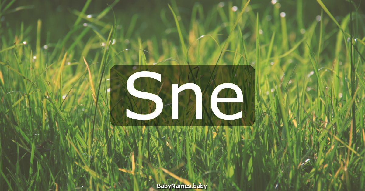 Sne