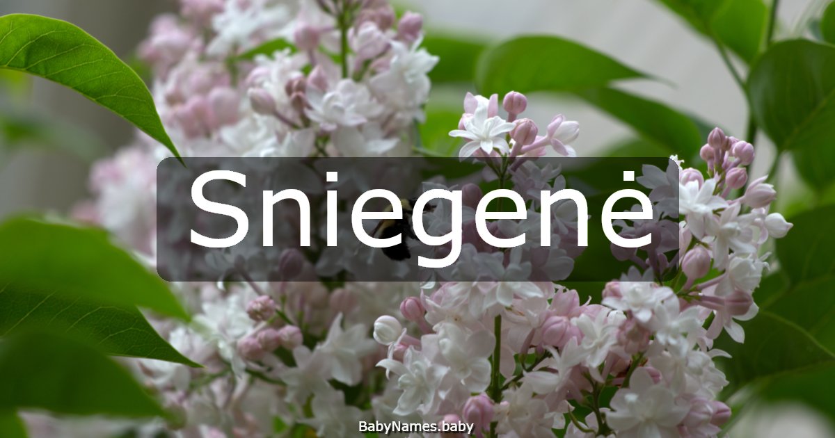 Sniegenė