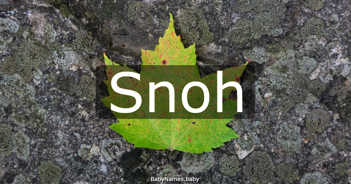 Snoh