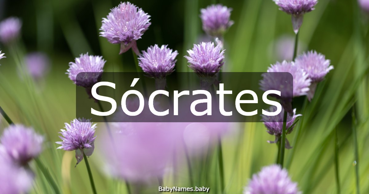 Sócrates