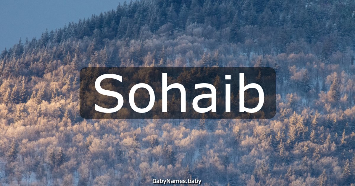 Sohaib