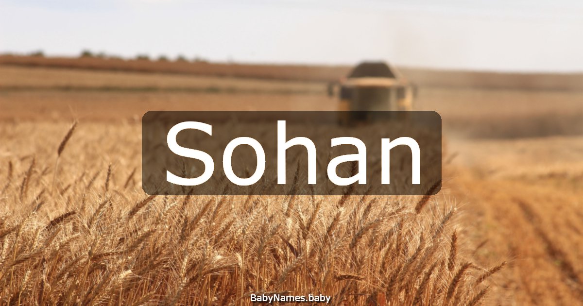 Sohan