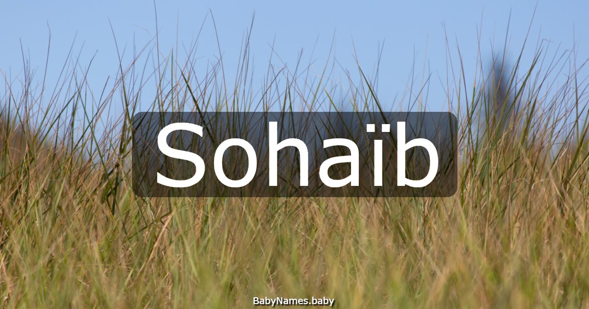 Sohaïb