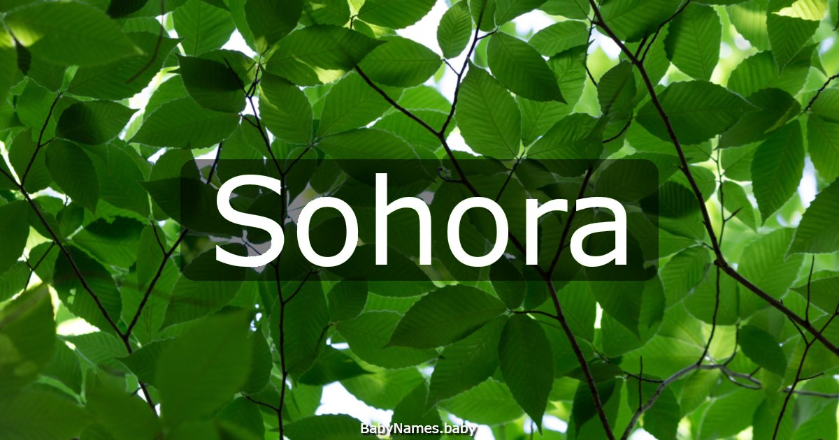 Sohora