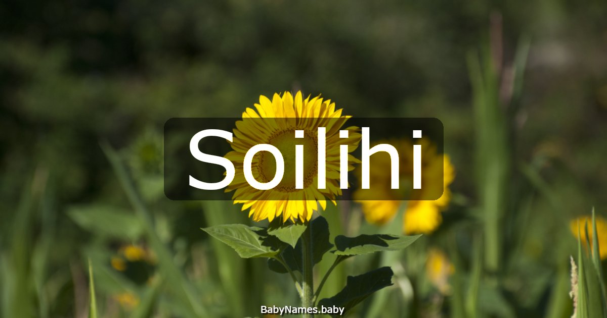 Soilihi