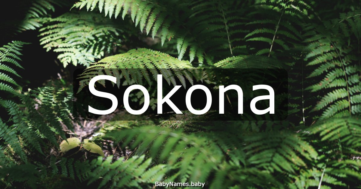 Sokona
