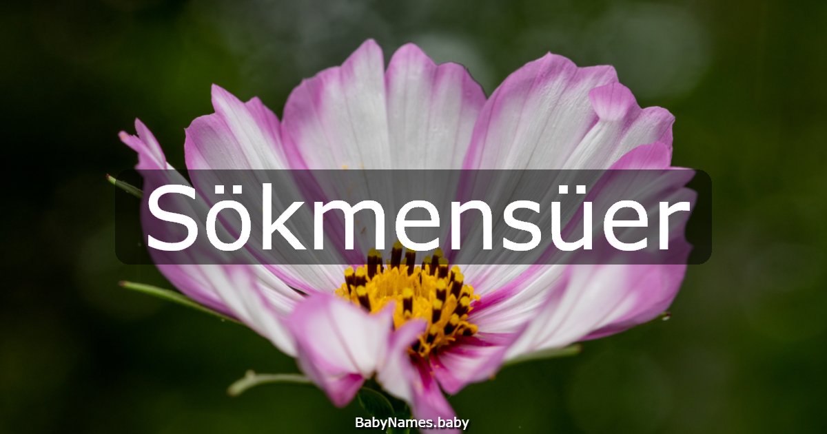 Sökmensüer