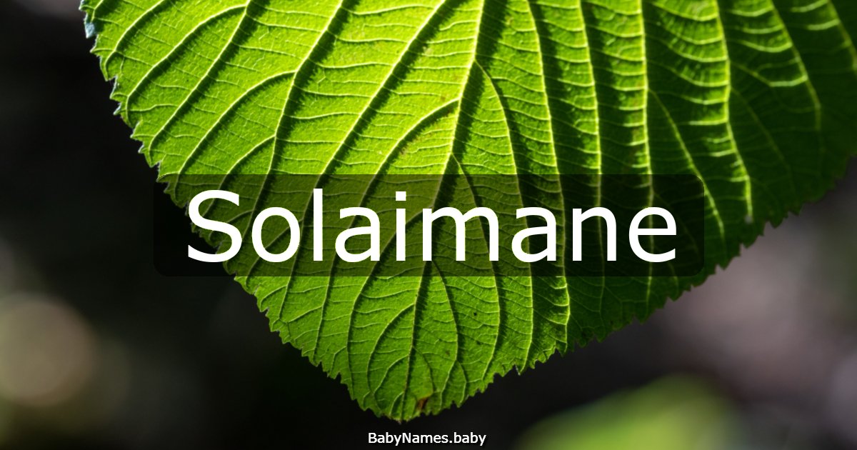 Solaimane