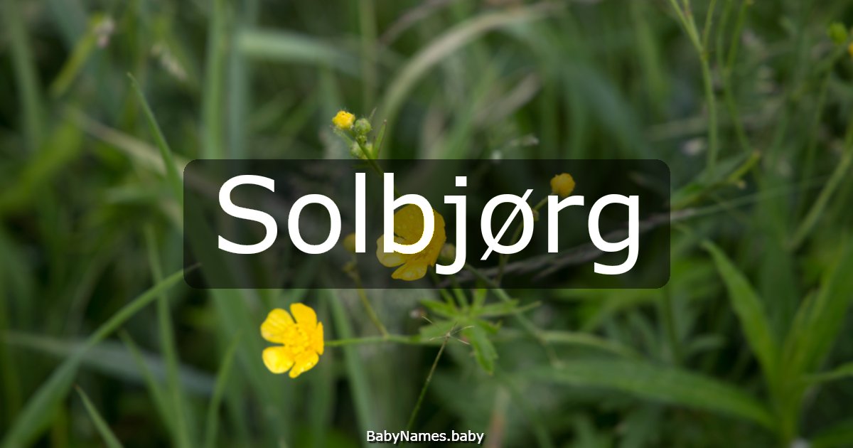 Solbjørg