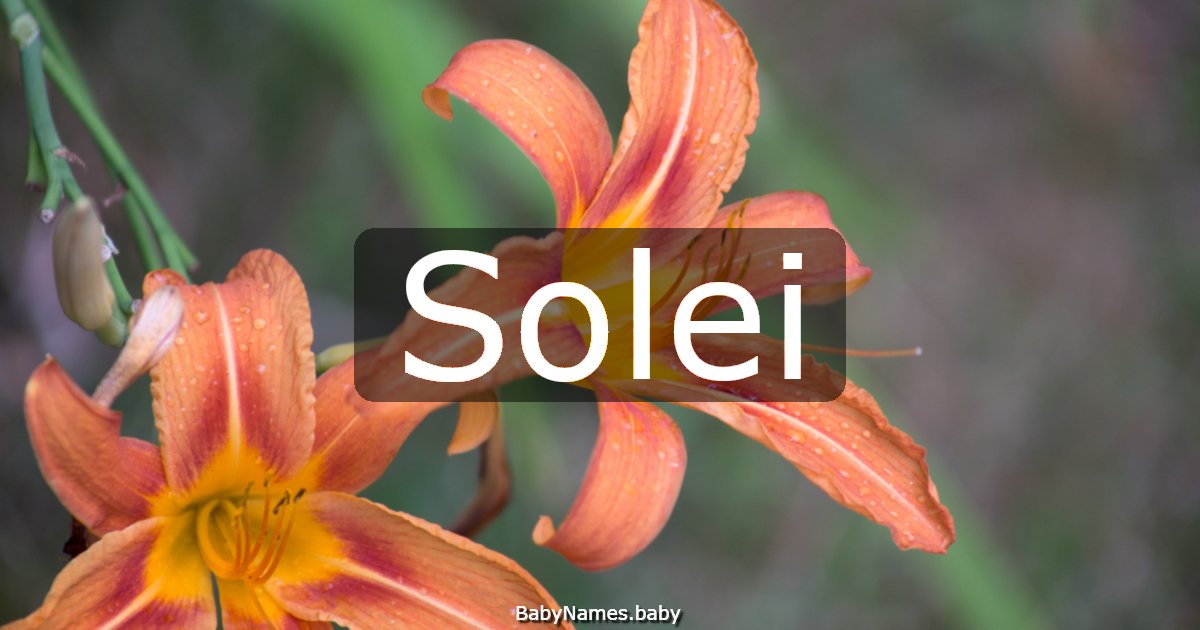 Solei