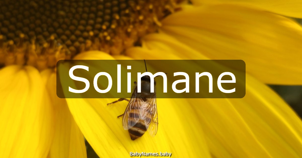 Solimane