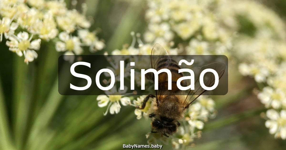 Solimão