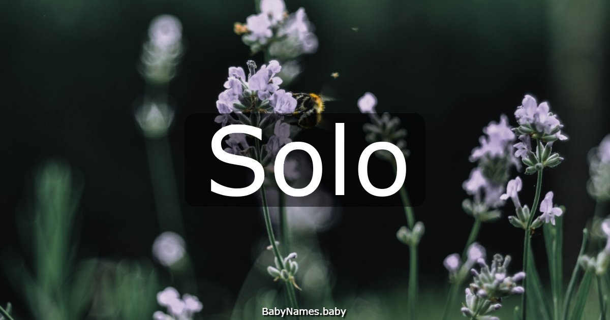 Solo